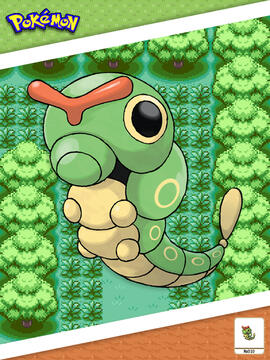 Caterpie