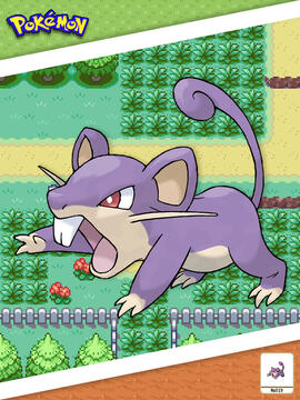 Rattata