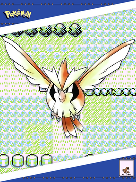 Pidgey