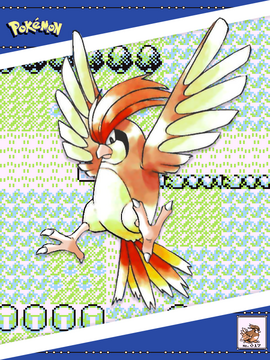 Pidgeotto