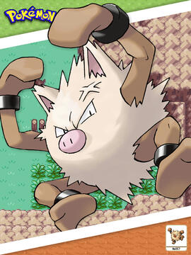 Primeape