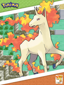 Rapidash