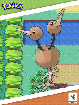 Doduo