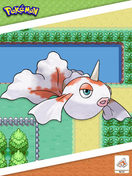 Goldeen