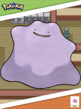 Ditto
