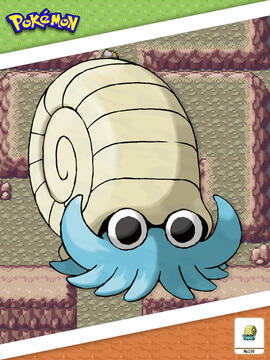 Omanyte